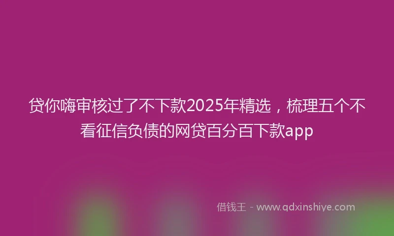 贷你嗨审核过了不下款2025年精选，梳理五个不看征信负债的网贷百分百下款app