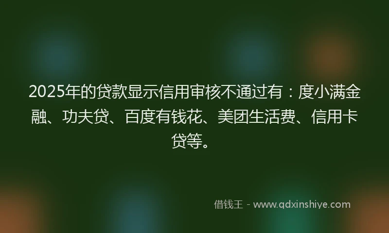 2025年的贷款显示信用审核不通过有：度小满金融、功夫贷、百度有钱花、美团生活费、信用卡贷等。