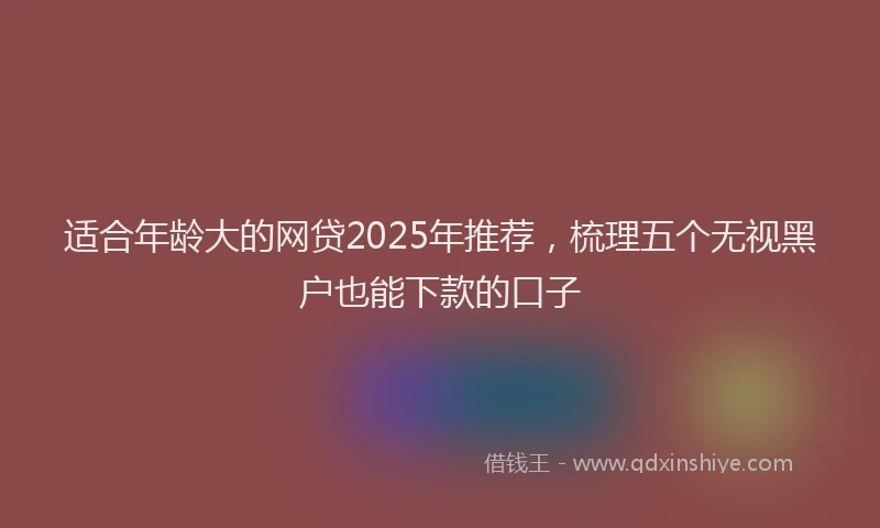 适合年龄大的网贷2025年推荐，梳理五个无视黑户也能下款的口子