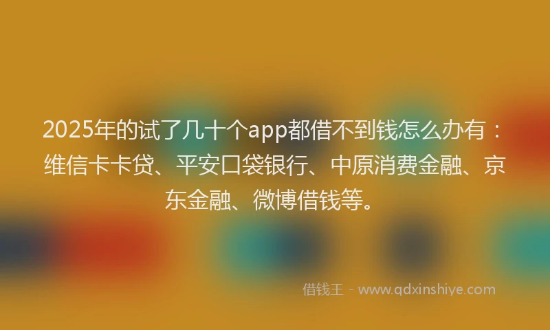 2025年的试了几十个app都借不到钱怎么办有：维信卡卡贷、平安口袋银行、中原消费金融、京东金融、微博借钱等。
