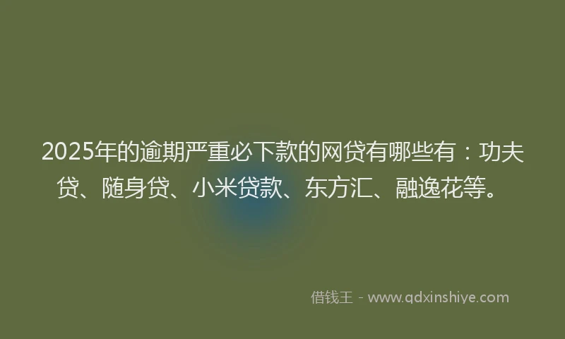 2025年的逾期严重必下款的网贷有哪些有：功夫贷、随身贷、小米贷款、东方汇、融逸花等。