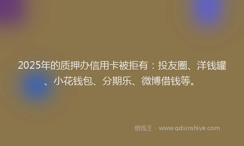 2025年的质押办信用卡被拒有：投友圈、洋钱罐、小花钱包、分期乐、微博借钱等。