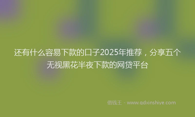 还有什么容易下款的口子2025年推荐，分享五个无视黑花半夜下款的网贷平台