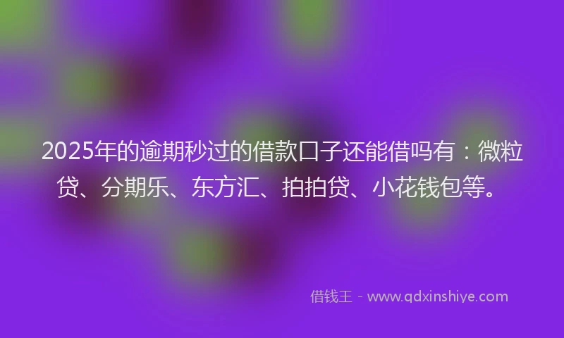 2025年的逾期秒过的借款口子还能借吗有：微粒贷、分期乐、东方汇、拍拍贷、小花钱包等。