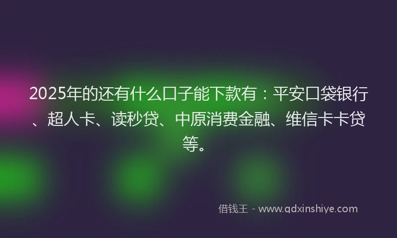 2025年的还有什么口子能下款有：平安口袋银行、超人卡、读秒贷、中原消费金融、维信卡卡贷等。