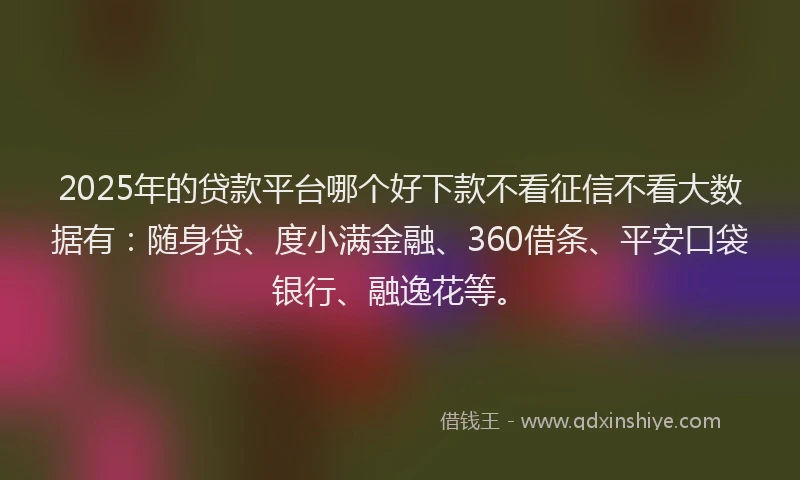 2025年的贷款平台哪个好下款不看征信不看大数据有：随身贷、度小满金融、360借条、平安口袋银行、融逸花等。