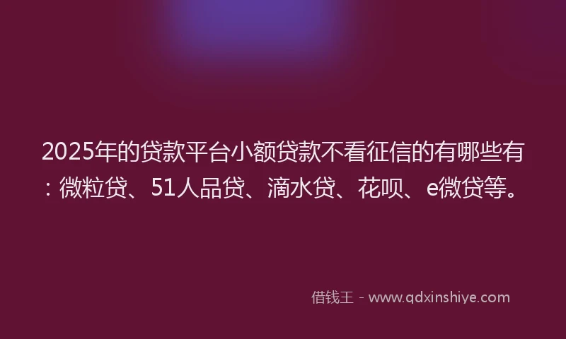 2025年的贷款平台小额贷款不看征信的有哪些有：微粒贷、51人品贷、滴水贷、花呗、e微贷等。