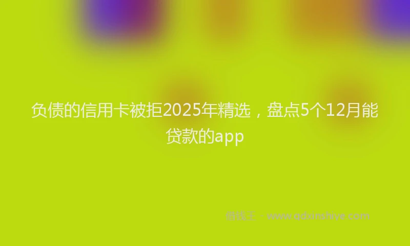 负债的信用卡被拒2025年精选，盘点5个12月能贷款的app