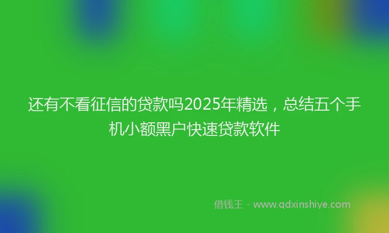 还有不看征信的贷款吗2025年精选，总结五个手机小额黑户快速贷款软件