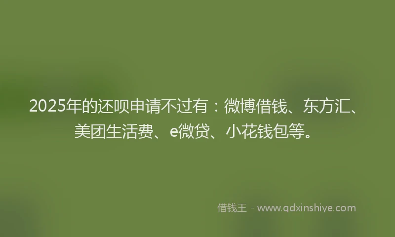 2025年的还呗申请不过有：微博借钱、东方汇、美团生活费、e微贷、小花钱包等。