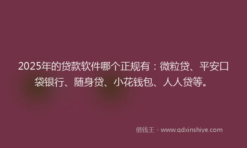2025年的贷款软件哪个正规有：微粒贷、平安口袋银行、随身贷、小花钱包、人人贷等。