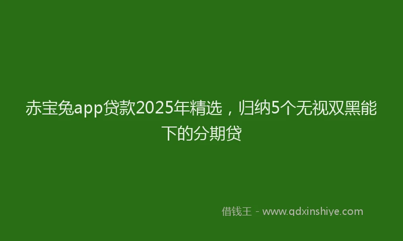 赤宝兔app贷款2025年精选，归纳5个无视双黑能下的分期贷