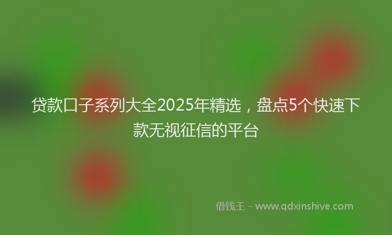 贷款口子系列大全2025年精选，盘点5个快速下款无视征信的平台
