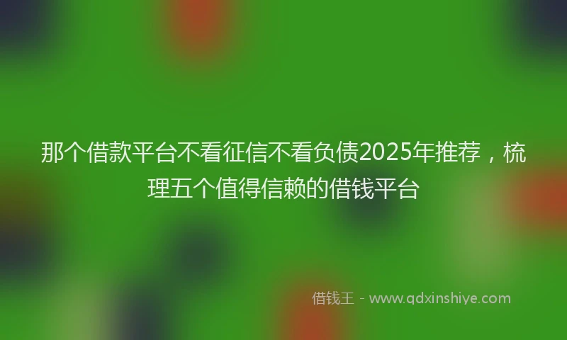 那个借款平台不看征信不看负债2025年推荐，梳理五个值得信赖的借钱平台