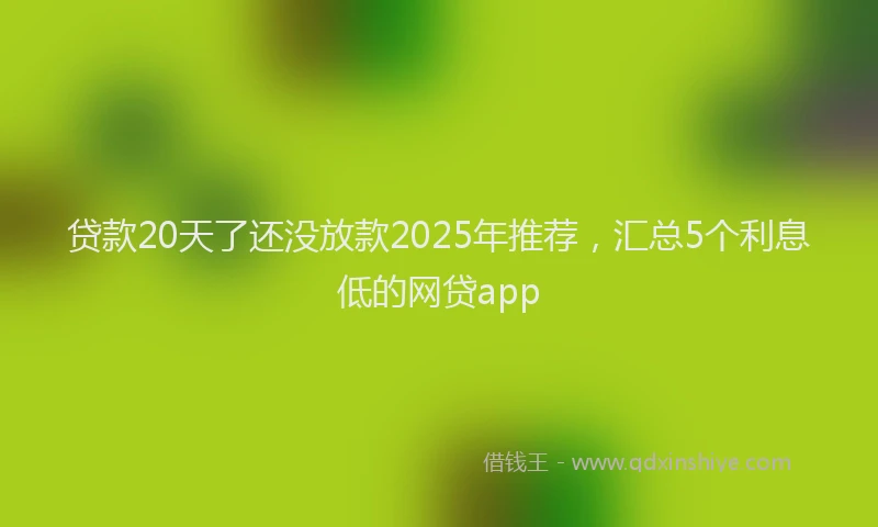 贷款20天了还没放款2025年推荐，汇总5个利息低的网贷app