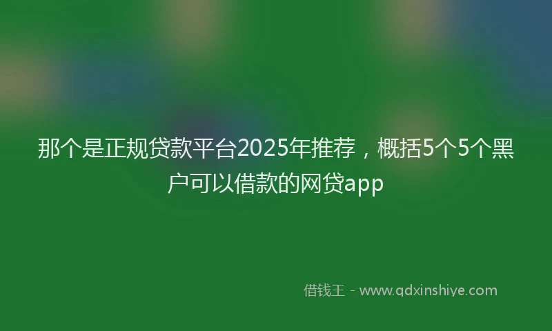 那个是正规贷款平台2025年推荐，概括5个5个黑户可以借款的网贷app