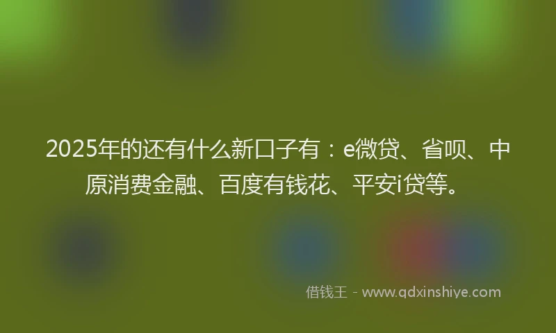 2025年的还有什么新口子有:e微贷、省呗、中原消费金融、百度有钱花、平安i贷等。