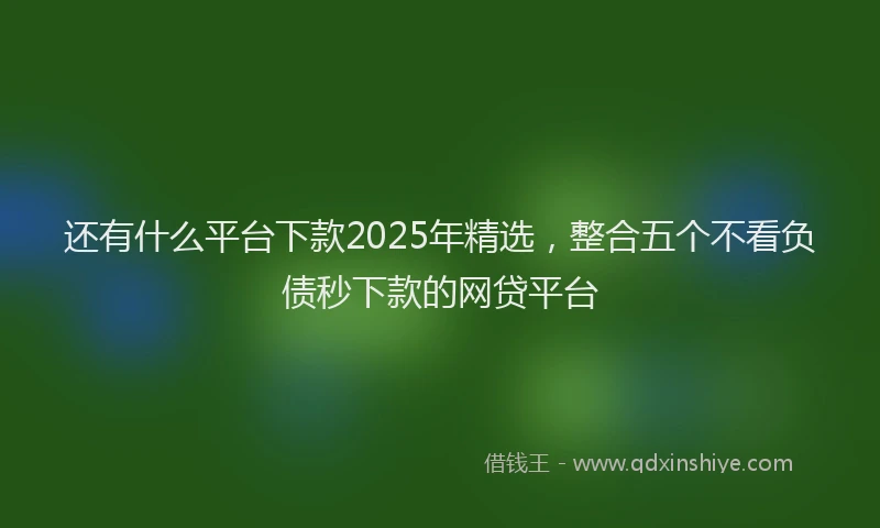 还有什么平台下款2025年精选，整合五个不看负债秒下款的网贷平台