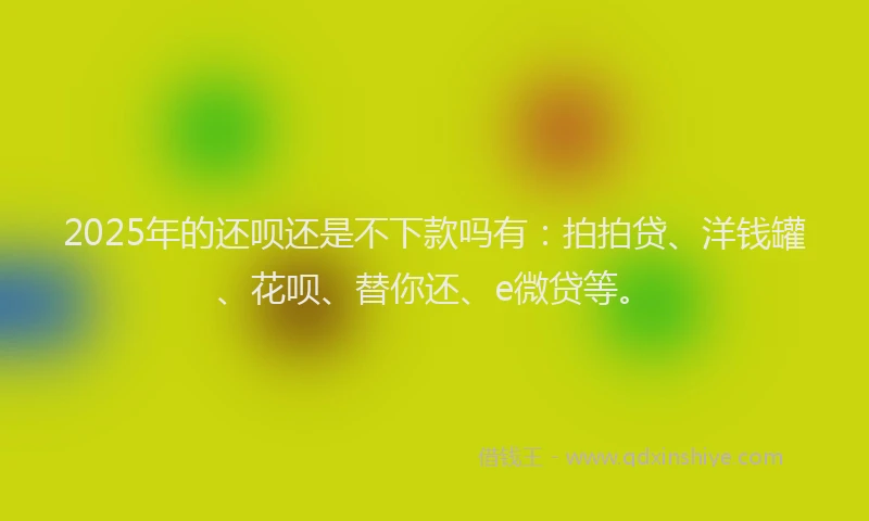 2025年的还呗还是不下款吗有：拍拍贷、洋钱罐、花呗、替你还、e微贷等。