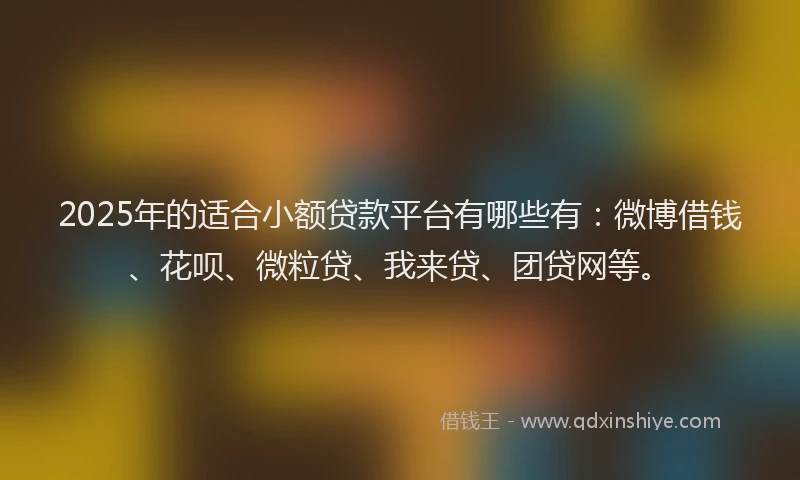 2025年的适合小额贷款平台有哪些有：微博借钱、花呗、微粒贷、我来贷、团贷网等。