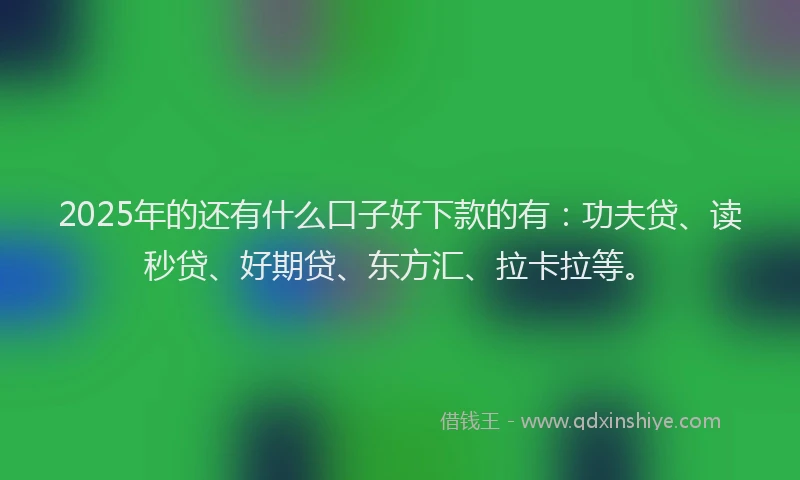 2025年的还有什么口子好下款的有：功夫贷、读秒贷、好期贷、东方汇、拉卡拉等。