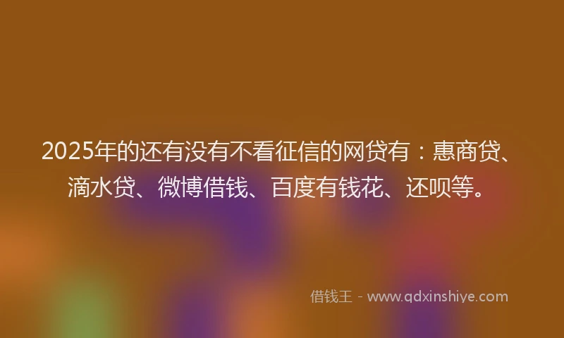 2025年的还有没有不看征信的网贷有：惠商贷、滴水贷、微博借钱、百度有钱花、还呗等。