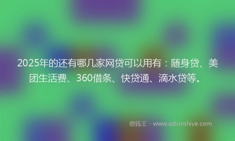 2025年的还有哪几家网贷可以用有：随身贷、美团生活费、360借条、快贷通、滴水贷等。