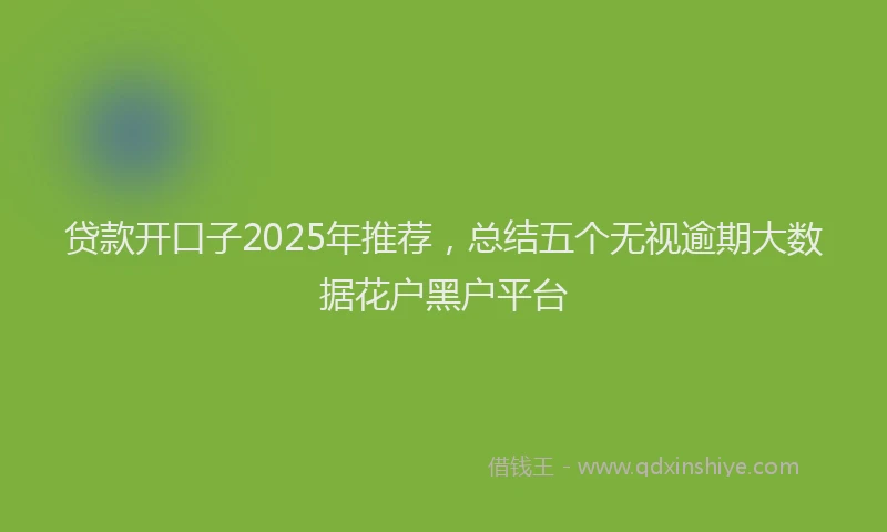 贷款开口子2025年推荐，总结五个无视逾期大数据花户黑户平台
