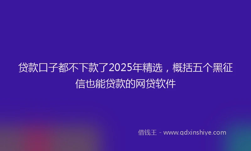 贷款口子都不下款了2025年精选，概括五个黑征信也能贷款的网贷软件
