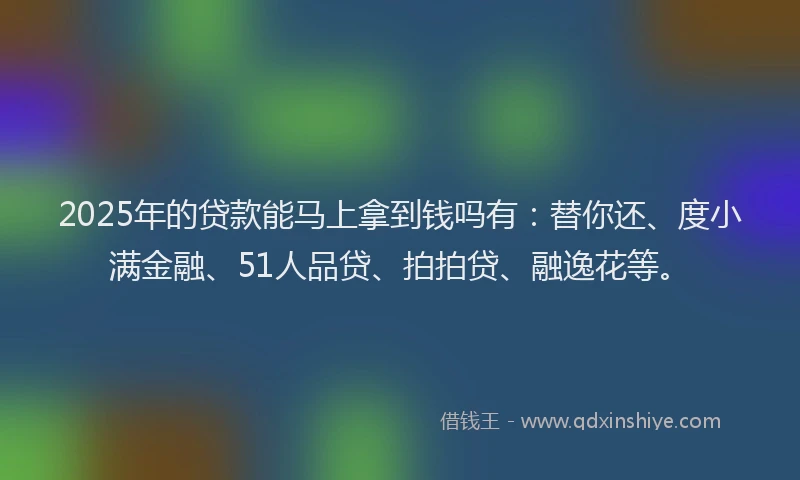 2025年的贷款能马上拿到钱吗有：替你还、度小满金融、51人品贷、拍拍贷、融逸花等。