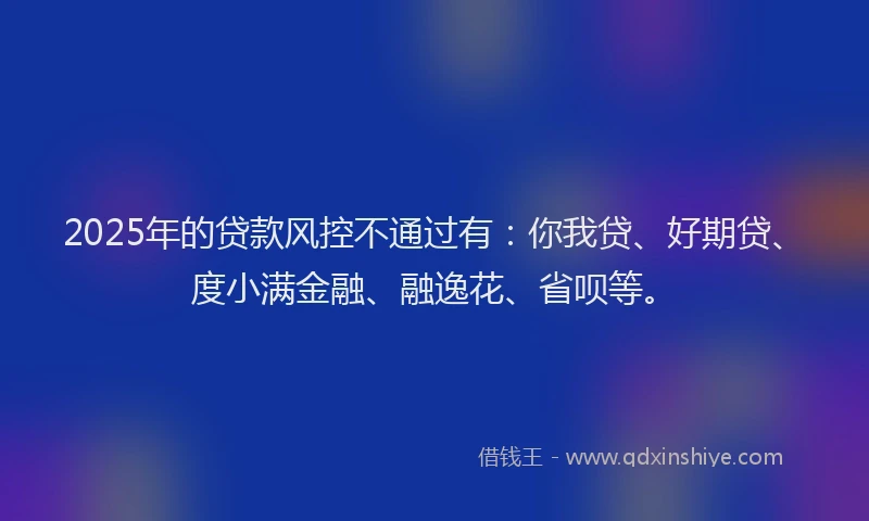 2025年的贷款风控不通过有：你我贷、好期贷、度小满金融、融逸花、省呗等。