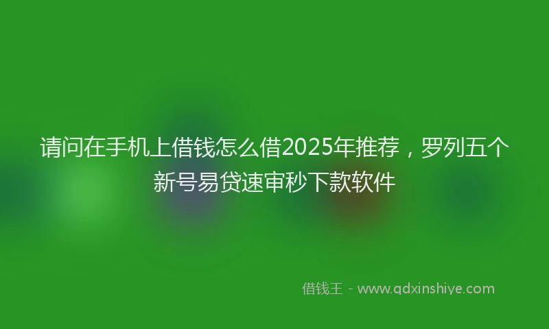 请问在手机上借钱怎么借2025年推荐，罗列五个新号易贷速审秒下款软件