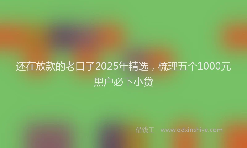 还在放款的老口子2025年精选，梳理五个1000元黑户必下小贷