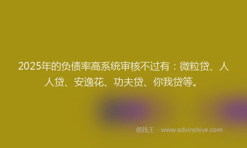 2025年的负债率高系统审核不过有：微粒贷、人人贷、安逸花、功夫贷、你我贷等。