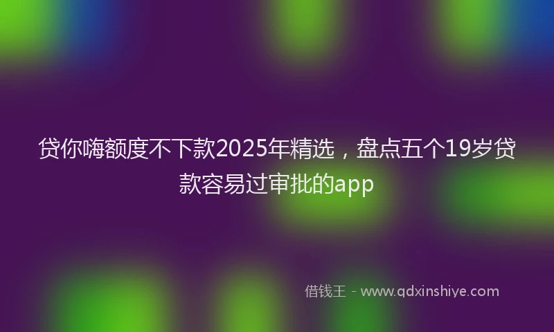 贷你嗨额度不下款2025年精选，盘点五个19岁贷款容易过审批的app