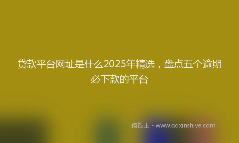 贷款平台网址是什么2025年精选，盘点五个逾期必下款的平台