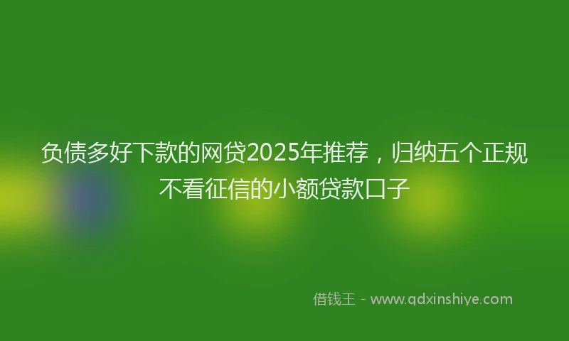 负债多好下款的网贷2025年推荐，归纳五个正规不看征信的小额贷款口子