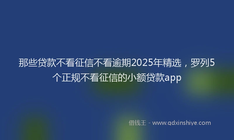 那些贷款不看征信不看逾期2025年精选，罗列5个正规不看征信的小额贷款app