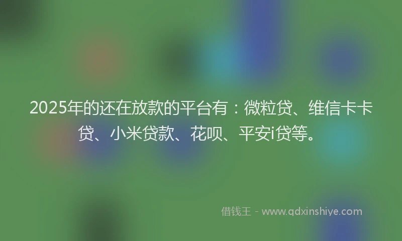 2025年的还在放款的平台有：微粒贷、维信卡卡贷、小米贷款、花呗、平安i贷等。
