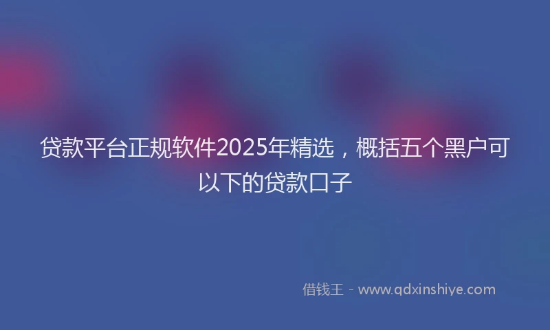 贷款平台正规软件2025年精选，概括五个黑户可以下的贷款口子