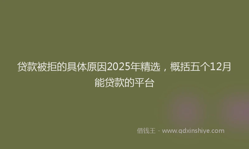 贷款被拒的具体原因2025年精选，概括五个12月能贷款的平台