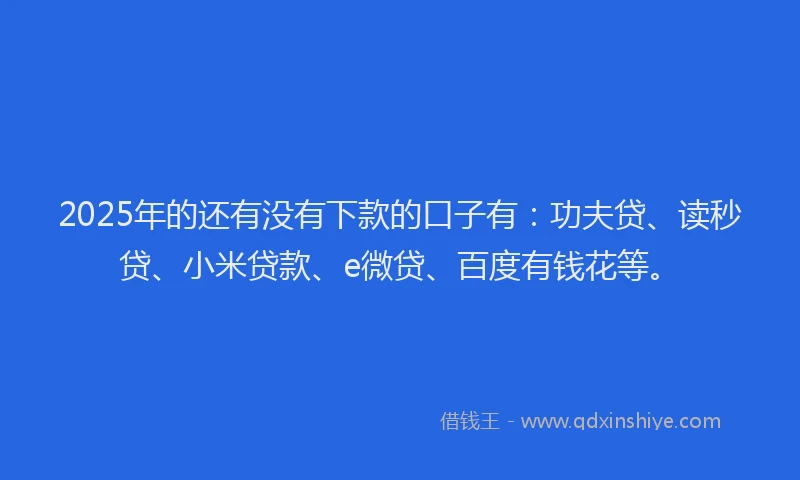 2025年的还有没有下款的口子有：功夫贷、读秒贷、小米贷款、e微贷、百度有钱花等。