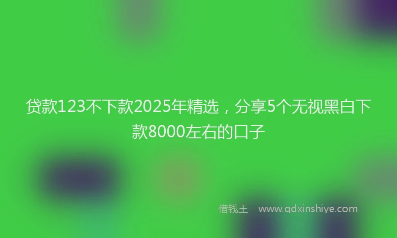 贷款123不下款2025年精选，分享5个无视黑白下款8000左右的口子