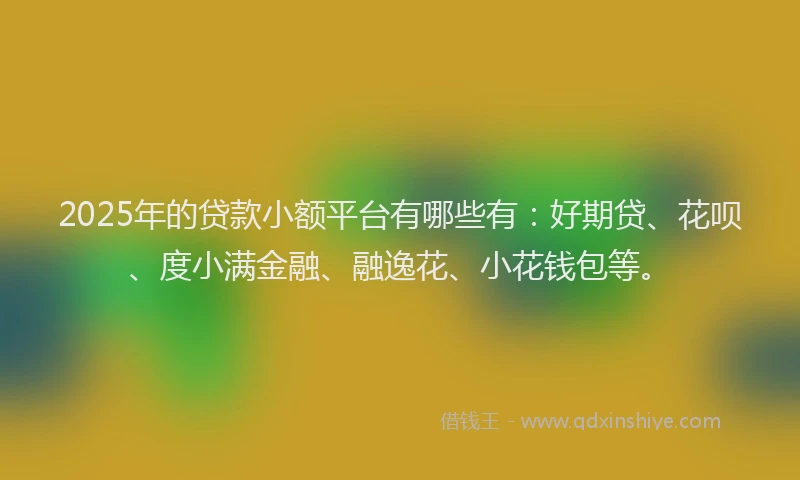 2025年的贷款小额平台有哪些有：好期贷、花呗、度小满金融、融逸花、小花钱包等。