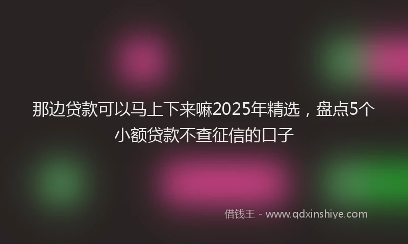 那边贷款可以马上下来嘛2025年精选，盘点5个小额贷款不查征信的口子
