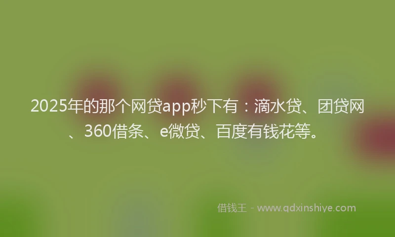 2025年的那个网贷app秒下有：滴水贷、团贷网、360借条、e微贷、百度有钱花等。