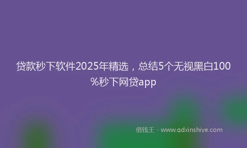 贷款秒下软件2025年精选，总结5个无视黑白100%秒下网贷app