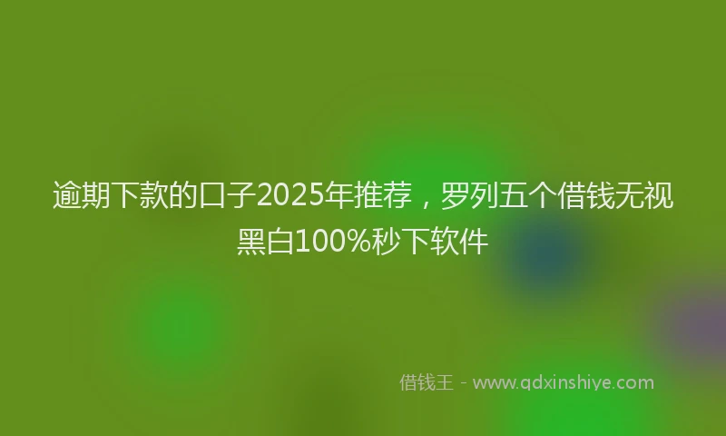 逾期下款的口子2025年推荐，罗列五个借钱无视黑白100%秒下软件