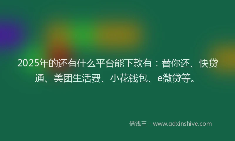 2025年的还有什么平台能下款有：替你还、快贷通、美团生活费、小花钱包、e微贷等。
