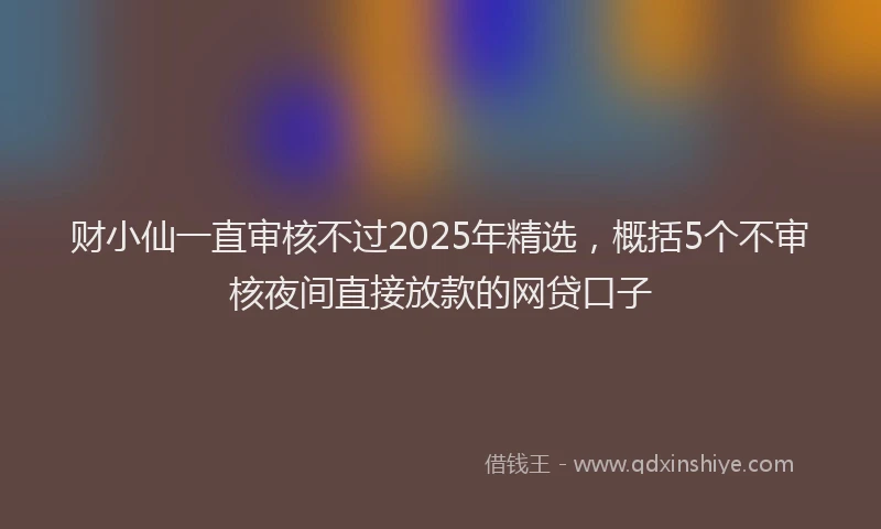 财小仙一直审核不过2025年精选，概括5个不审核夜间直接放款的网贷口子